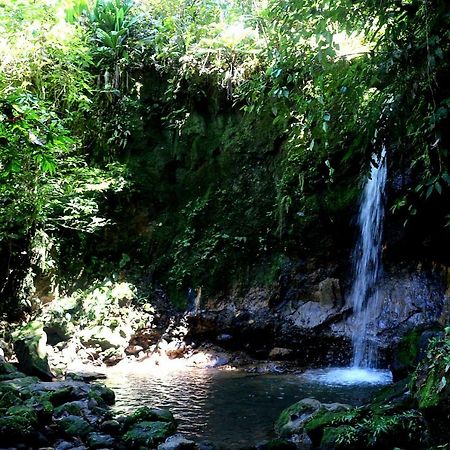 تينا Misahualli Amazon Lodge المظهر الخارجي الصورة