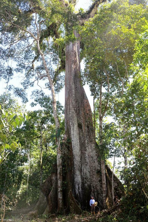 تينا Misahualli Amazon Lodge المظهر الخارجي الصورة