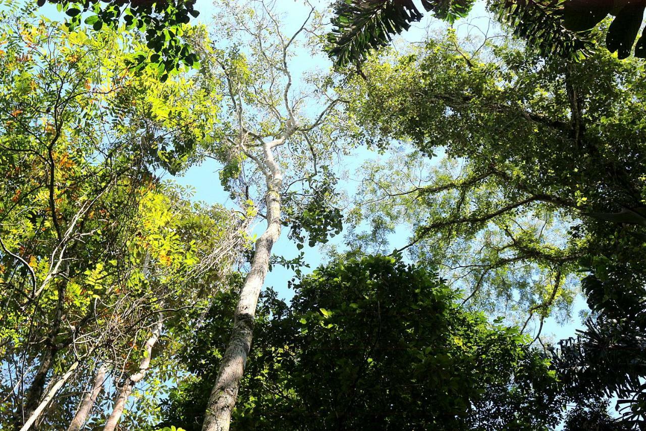 تينا Misahualli Amazon Lodge المظهر الخارجي الصورة